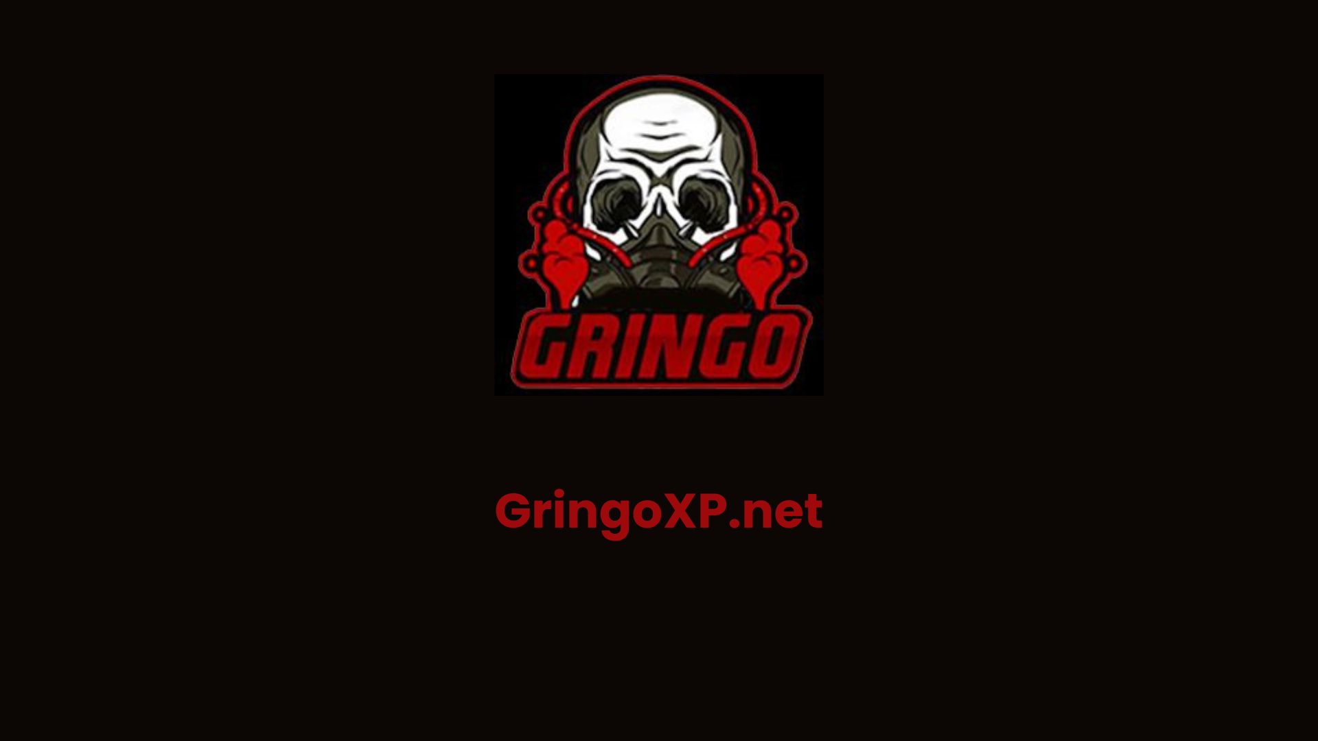 Gringo XP 2024 thumbnail