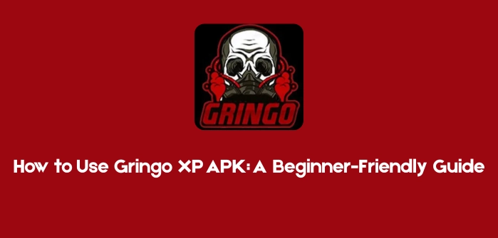 How to Use Gringo XP APK A Beginner-Friendly Guide